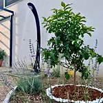 Appartement Adriatic Split With Sea View And Garden *